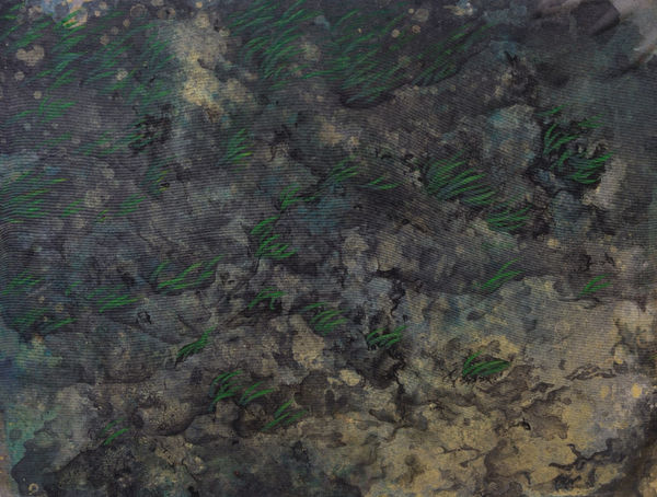 Aquatic grass.III 水草.III