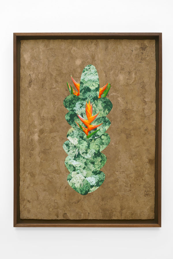 Lucía Pizzani Guatopo Riqui-Riqui, 2024 Photographic collage on Amate paper 80 x 60 cm 31 1/2 x 23 5/8 in