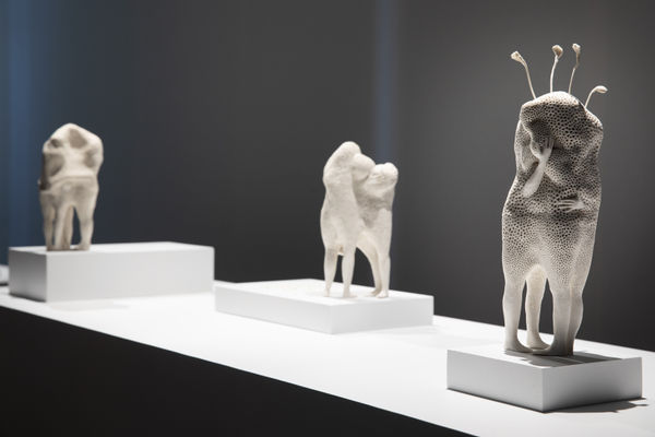 Claudia Fontes, Installation view for the exhibition 'Wired for Empathy' at the STUK, Belgium, 2021