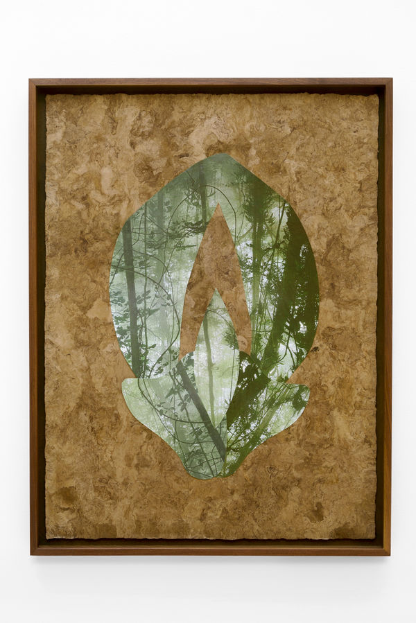 Lucía Pizzani Flor de Selva, 2024 Photographic collage on Amate paper 80 x 60 cm 31 1/2 x 23 5/8 in