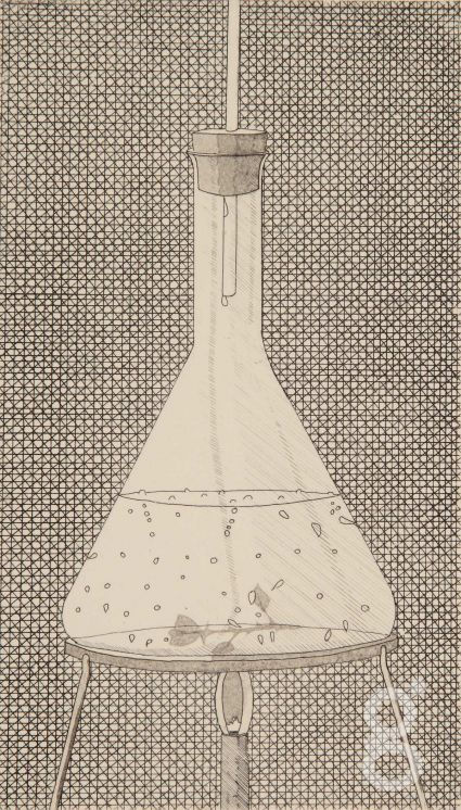 Graham Greenfield, Nosegay