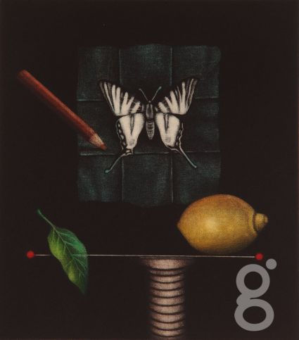 Hachmi Azza, Fragilite