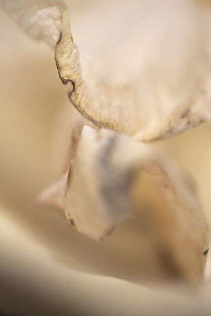 Decor 5: Coming to the Womb 2