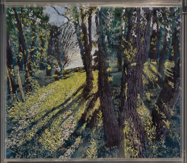 Sassafrass, Morning Under Afternoon