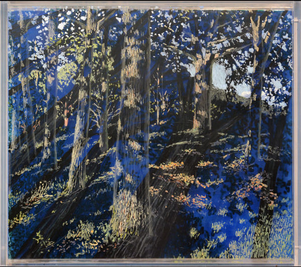 In The Oaks, Dusk Under Afternoon