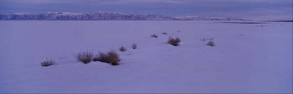 Snow, Smoke Creek Desert, NV #5