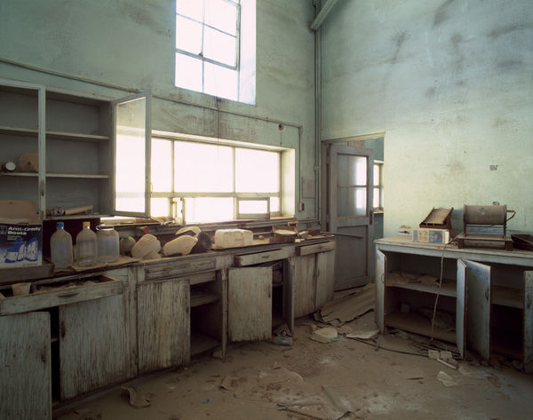 Wrecked Lab, Yerington NV, No 2