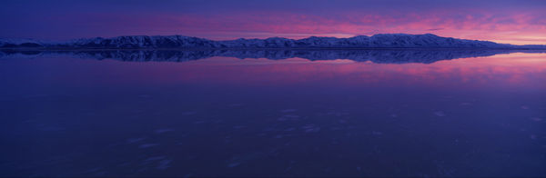 Winter, Smoke Creek Desert, NV #2