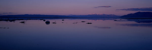 Water, Smoke Creek Desert, NV #8 2005