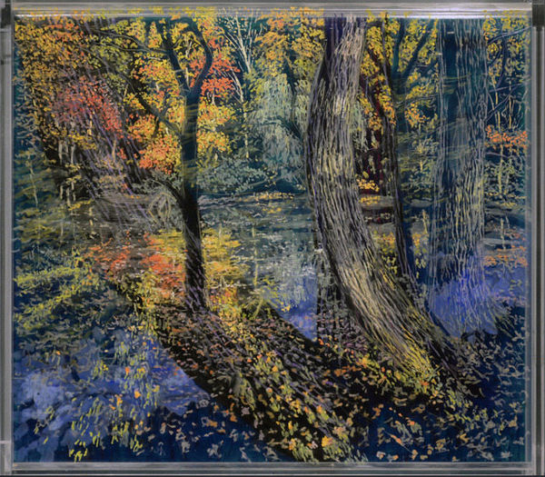 Pond, Fall, Morning Under Afternoon