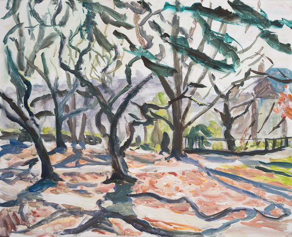 Lynne Cartlidge, Roath Mill Gardens, Winter