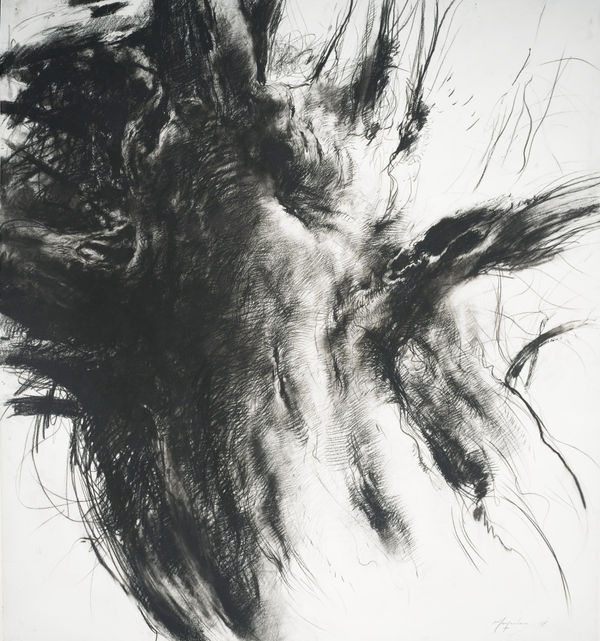 John Macfarlane, Big Tree, 2026