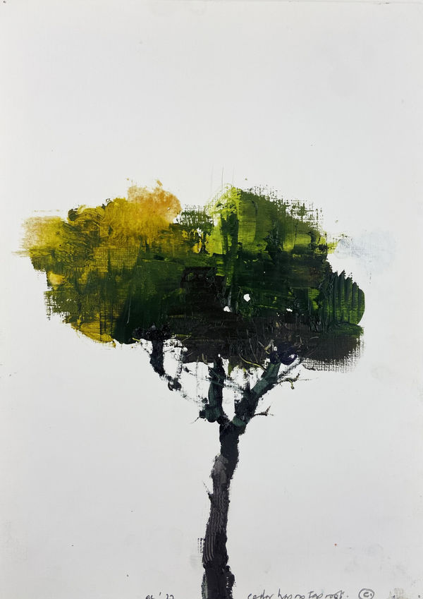 Gareth Edwards RWA, The Cedar has no Taproot, 2022