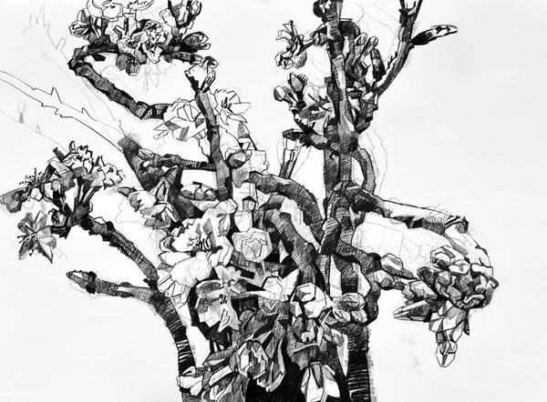 Clarissa Galliano, Cherry Blossom , 2026