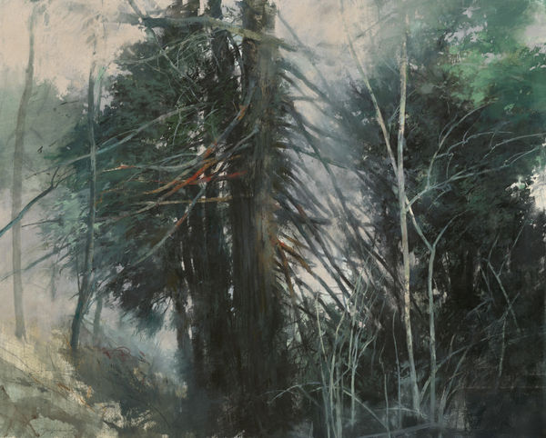 John Macfarlane, Yew and Larch, Spring, 2025