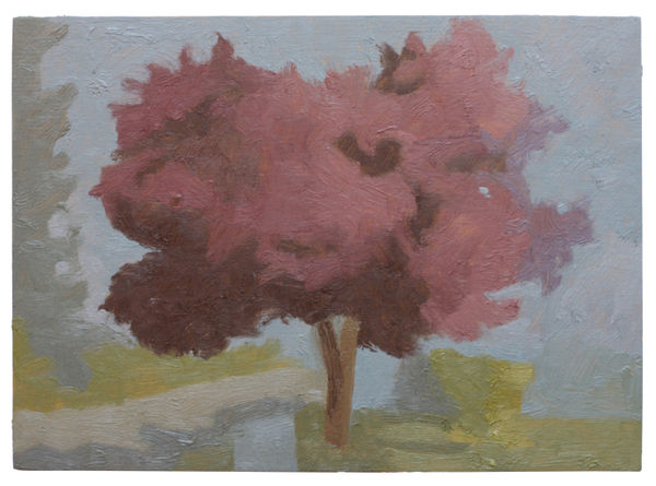 Lachlan Hinwood, Cherry Tree, 2025