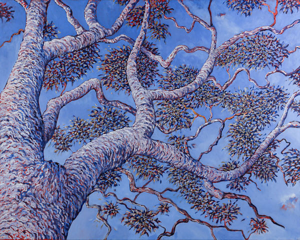 Sarah Brown AM, Branches, 2024