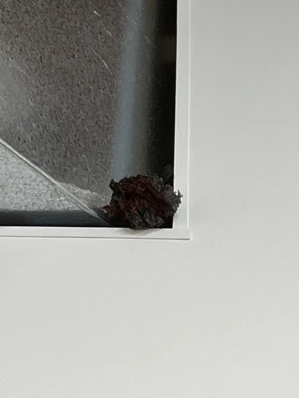 Nik Kennedy, The Creep In The Corner, 2024