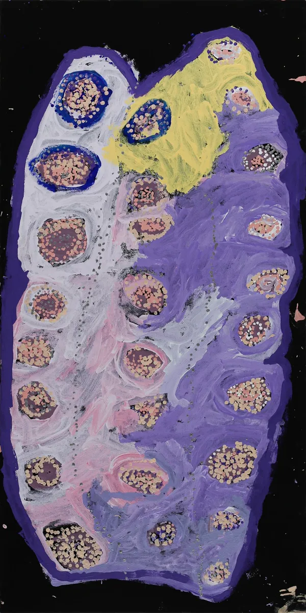 Nola Yurnangurnu Campbell All of Patjarr, 2019 acrylic on canvas 60.5 x 121.9 cm