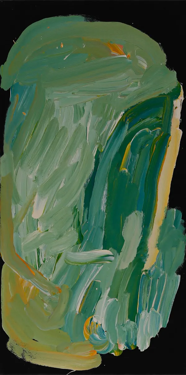 Nola Yurnangurnu Campbell Yunpalara, 2022 acrylic on canvas 50 x 101 cm
