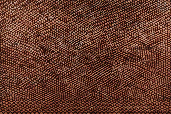 Billy Cooley, Tali ~ Desert Dunes, 2023