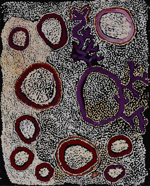 Simon Hogan, Lingka, 2024