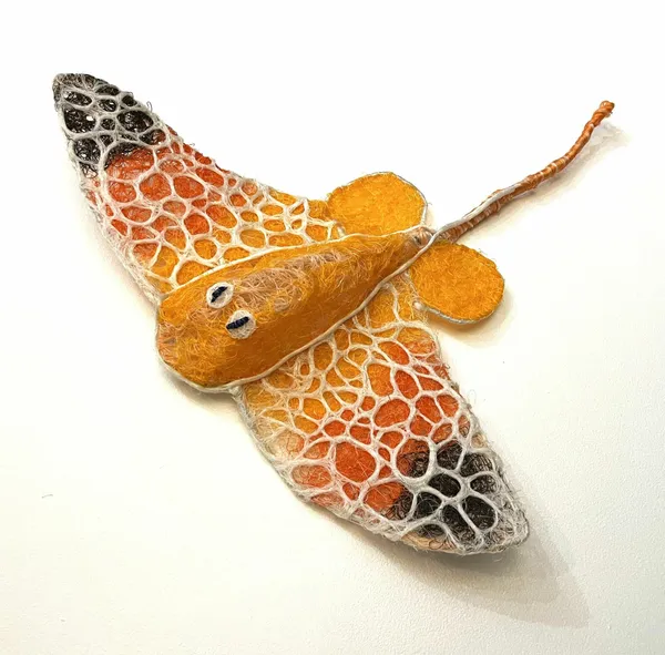 Lavinia Ketchell, Kj, 2023