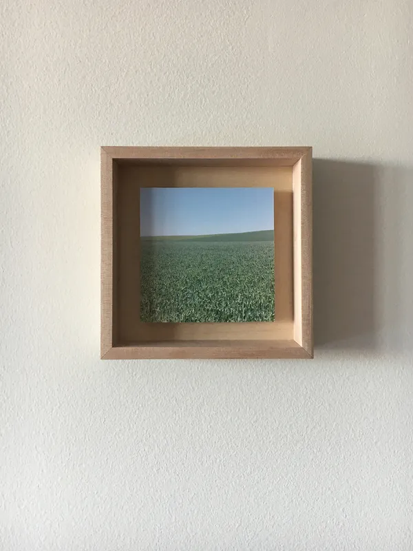 Grace Clark, 4. Sweet Fields IV, 2020