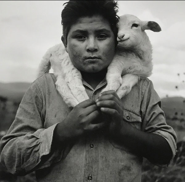 Young Shepherd, Mexico