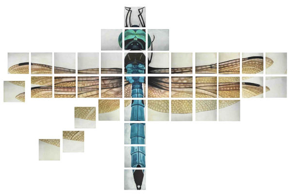 Tanujaa Rane, Metamorphosis, 2019