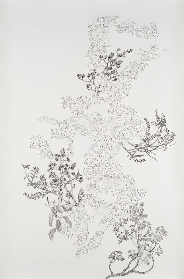 Kalpana Vishwas, The Wild Beauty II, 2025