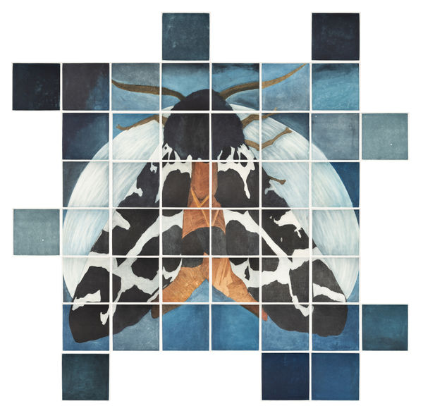 Tanujaa Rane, Metamorphosis - In Search of Light 2, 2020-2021