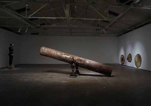 Tallur LN, Chromatophobia, 2010