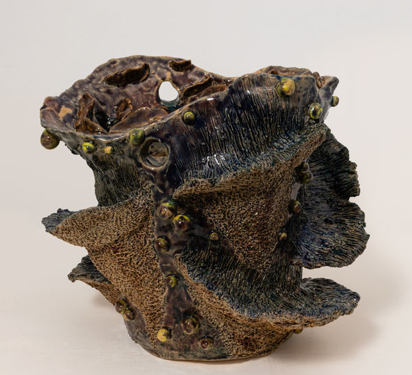 Vinita Mungi, Coral, 2022