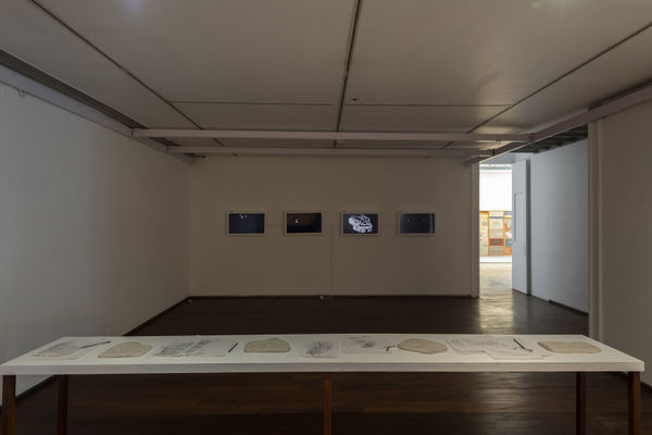 Reena Saini Kallat, Untitled (Enemy Properties), 2019