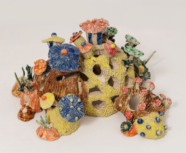 Vinita Mungi, Shrub, 2019