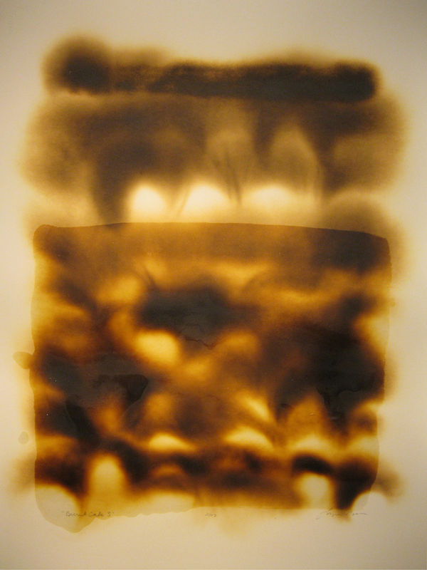 Lynn Basa Burnt Cake III Encaustic on paper 34 x 26.5" matted