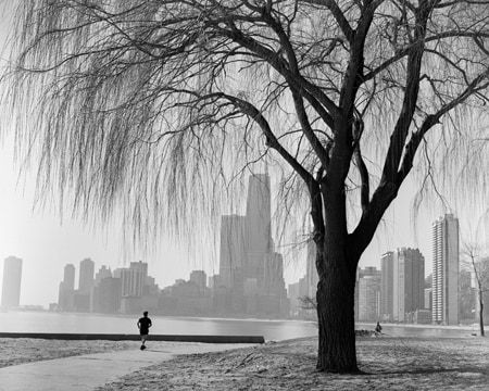 John Hendry, 19-218 Looking South From North Ave, 1994