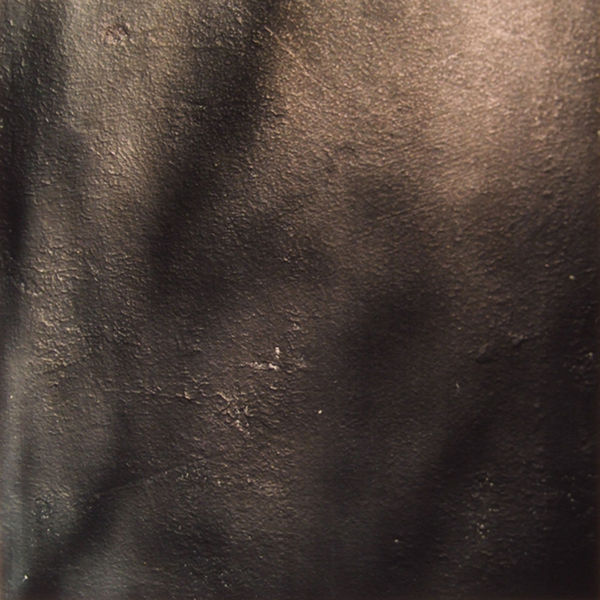 Morgan Cohen, Black Wall