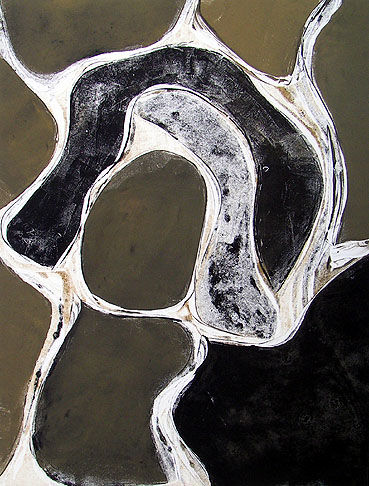 Gary Paller Family Place Monotype on paper 24 x 18" image 33.25 x 27.25" framed