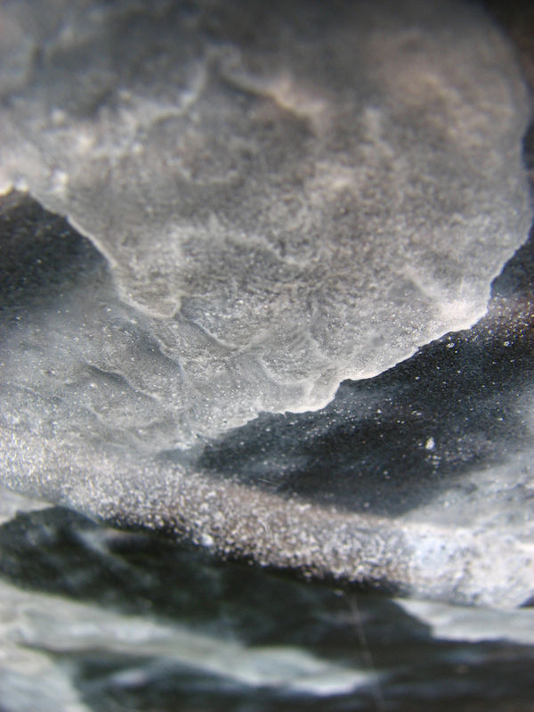 Brian Lane, Mammatus