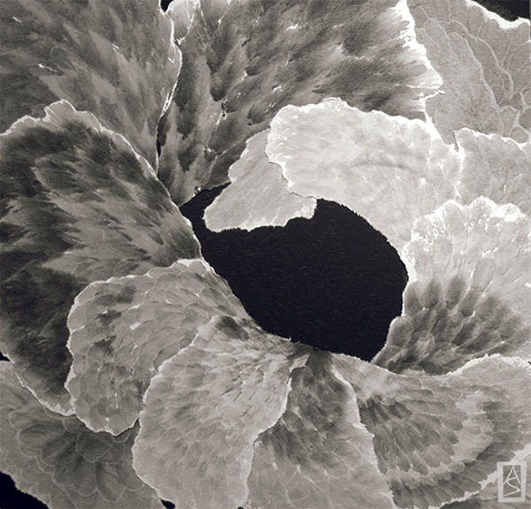 Allison Svoboda, Furling I