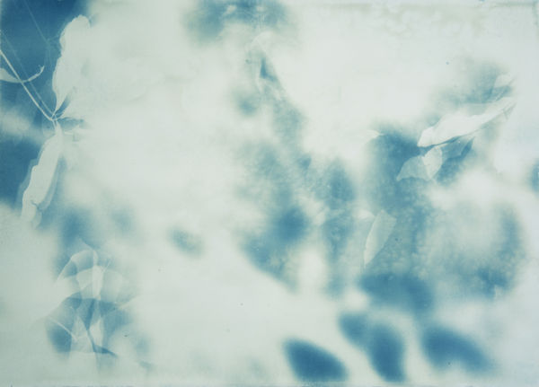 Allison Svoboda, Shadows of Irma III