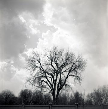John Hendry, 19-217 North Ave Beach, 1994