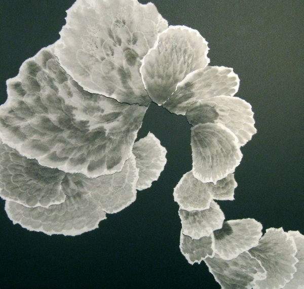 Allison Svoboda, Furling III