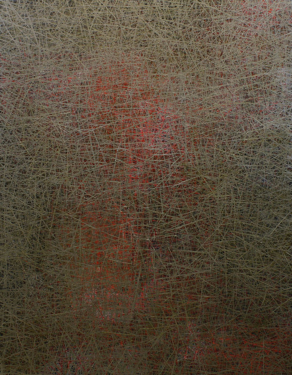 Cynthia Bjorn, The Observer, 2020