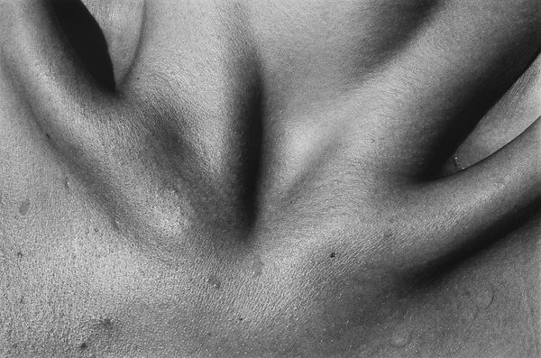 Jed Fielding, Chicago #909, 1982