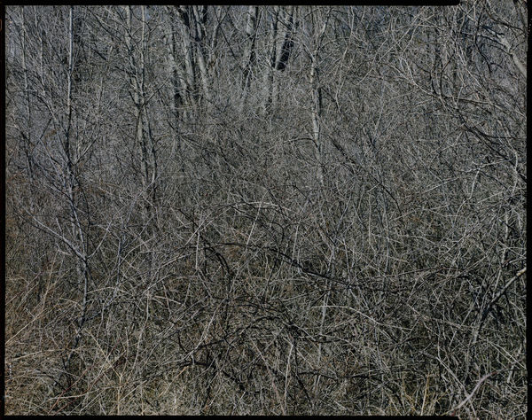 Howard Bjornson, In the Deep #13