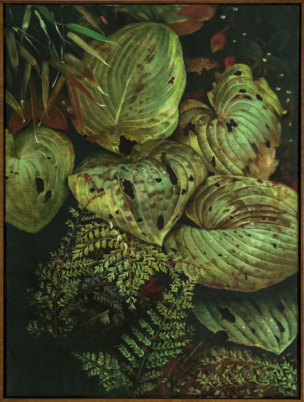 Helena Parada-Kim, Hostas and Ferns, 2024