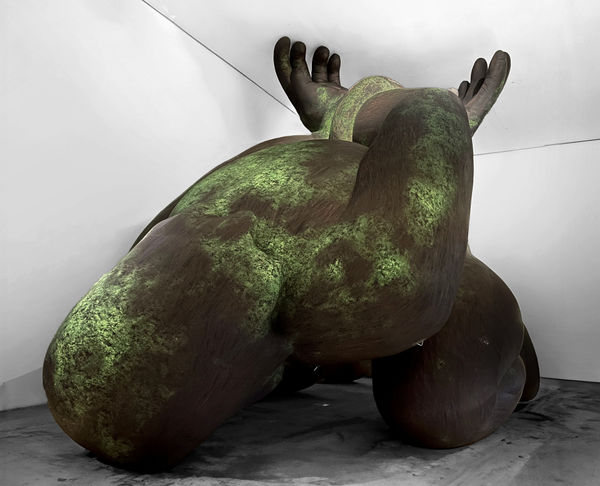 Na Hyun, Finding bigfoot, 2021